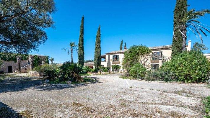 Algaida Mallorca Landbesitz zum Verkauf Aussenbereich 92303