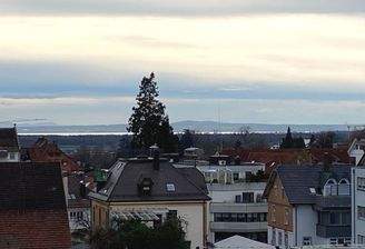 Blick aus Straßenhöhe