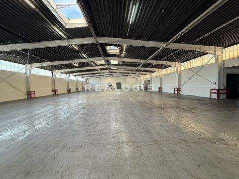 Hamburg Halle, Hamburg Hallenfläche