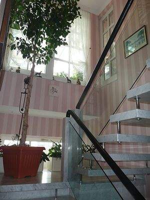 Baum in Galerie Podest ca. 4 m Hoch (3).jpg