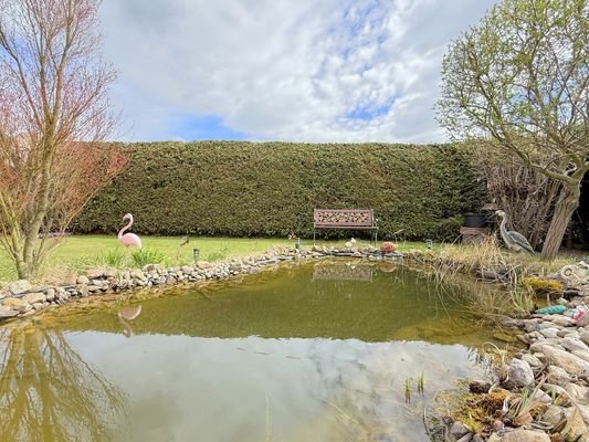 eindrucksvoller Teich