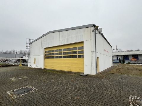 Mittelbach Halle, Mittelbach Hallenfläche