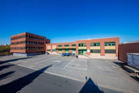 Kelsterbach Halle, Kelsterbach Hallenfläche