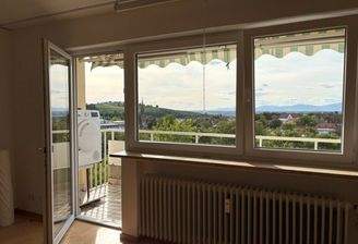 Blick über Müllheim