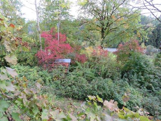 Blick über das Backhaus 