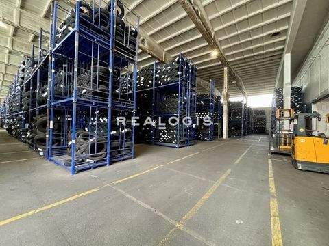 Bernau Halle, Bernau Hallenfläche