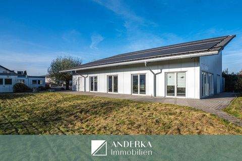 Günzburg Halle, Günzburg Hallenfläche