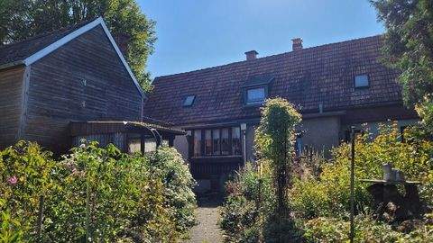 Limbach Häuser, Limbach Haus kaufen