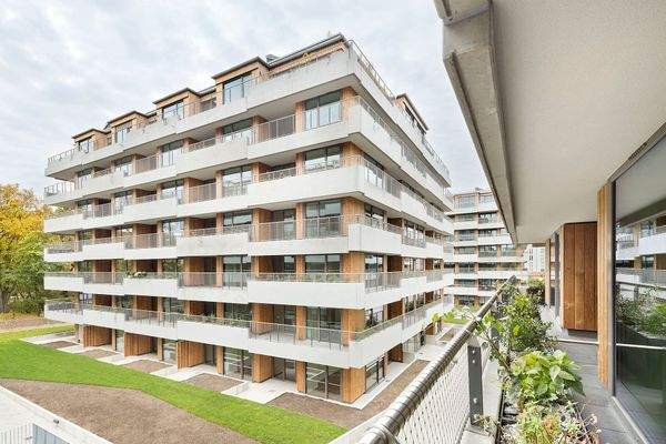 Immergrün - große Balkone