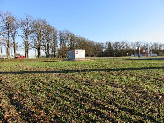 Blick zum Schlosspark.JPG