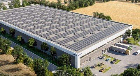 Ibbenbüren Halle, Ibbenbüren Hallenfläche