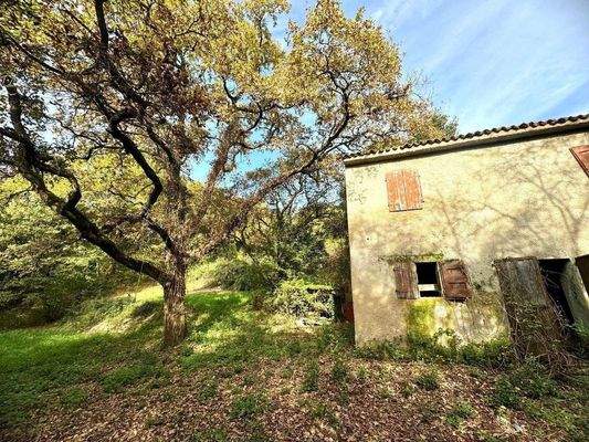 WhatsApp Image 2024-11-05 at 11.24.01 (5).jpeg