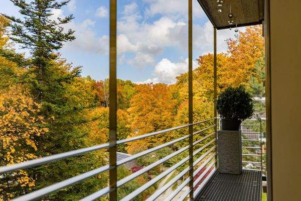 Mein Baumwipfelzimmer.