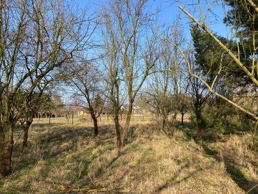 hinterer Grundstücksbereich