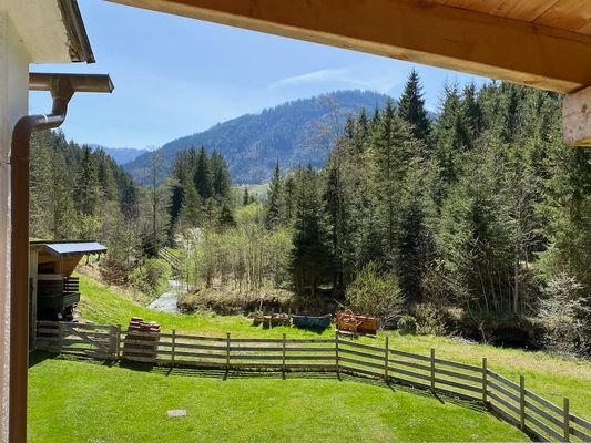 Ausblick vom Balkon
