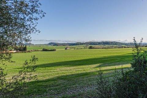 Montuïri Häuser, Montuïri Haus kaufen