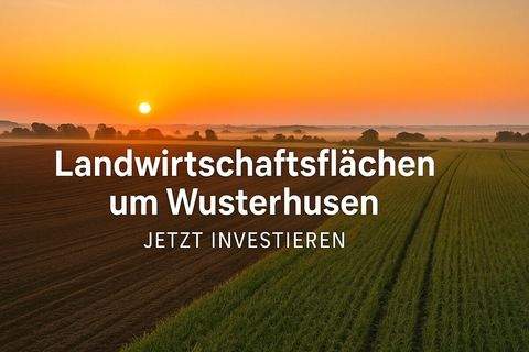 Wusterhusen / Stevelin Bauernhöfe, Landwirtschaft, Wusterhusen / Stevelin Forstwirtschaft