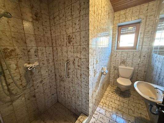 Gästetoilette mit Dusche im EG