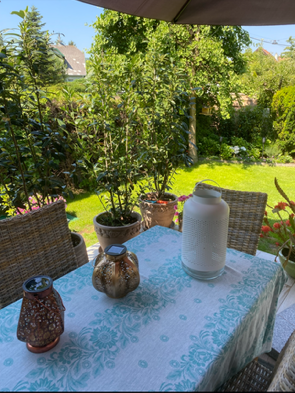 Blick von der Terrasse in den Garten