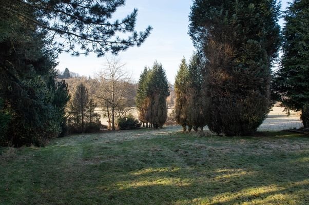 Gartenimpressionen