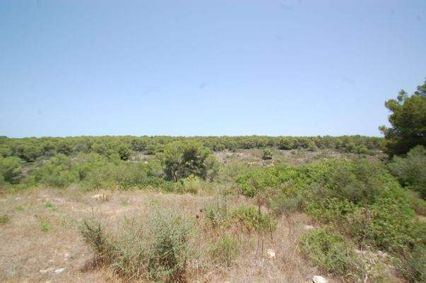 Plot in Sol de Mallorca for sale (2)