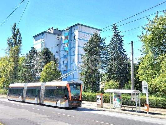 ..nahe bei Bushaltrestelle 