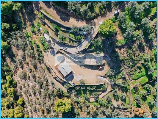 9433214dad554c188e2decf42047773a-original