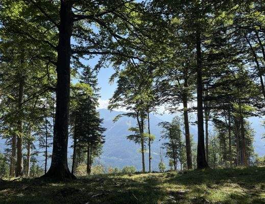 2025-08-19 14.50.52.jpg