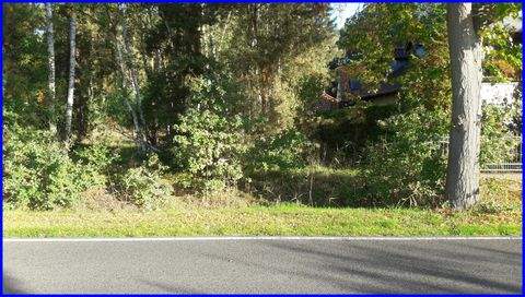 Zehlendorf Bauernhöfe, Landwirtschaft, Zehlendorf Forstwirtschaft