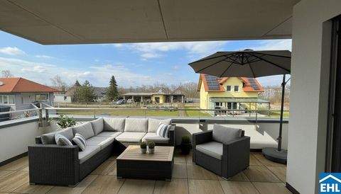 Wiener Neustadt Wohnungen, Wiener Neustadt Wohnung kaufen