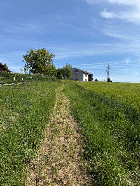 Vilsbiburg Bauernhöfe, Landwirtschaft, Vilsbiburg Forstwirtschaft