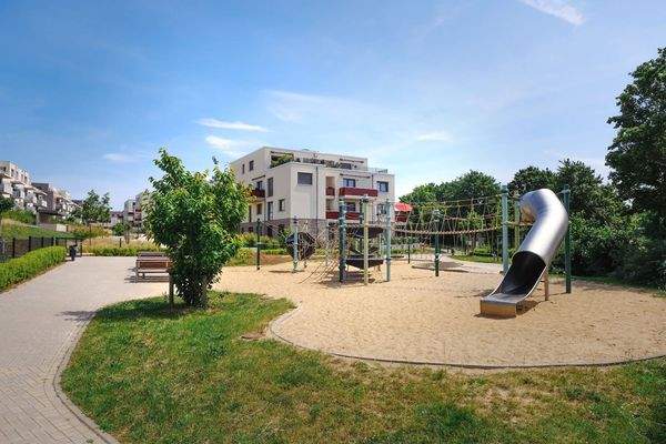 250617_Kleekamp_JS_022