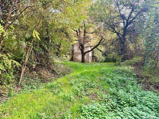 WhatsApp Image 2024-11-05 at 11.23.59.jpeg