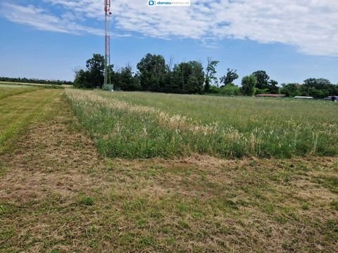 Theresienfeld Grundstücke, Theresienfeld Grundstück kaufen