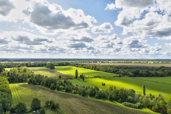 Felder im direkten Umfeld