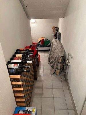 Abstellraum-unter-der-Stieg.jpg
