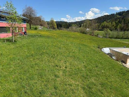 Garten / Baugrundstück