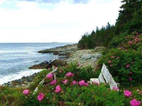 Liverpool Nova Scotia Häuser, Liverpool Nova Scotia Haus kaufen