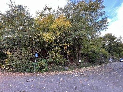 Niederkirchen Grundstücke, Niederkirchen Grundstück kaufen