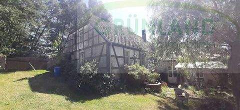 Vierlinden Häuser, Vierlinden Haus kaufen