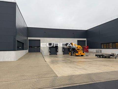 Duisburg Halle, Duisburg Hallenfläche