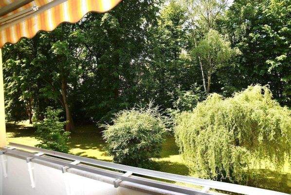 Garten-alter Baumbestand