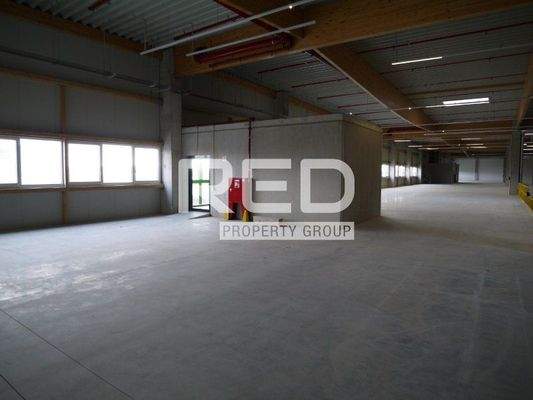 Halle miten Mönchengladbach