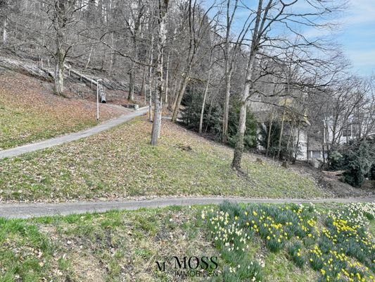 Schlossberg / Wanderweg