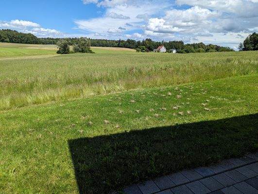 Landschaft mit Wiese