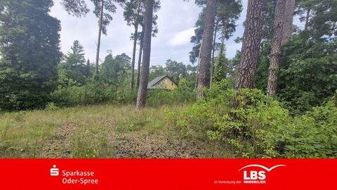 Grünheide Grundstücke, Grünheide Grundstück kaufen