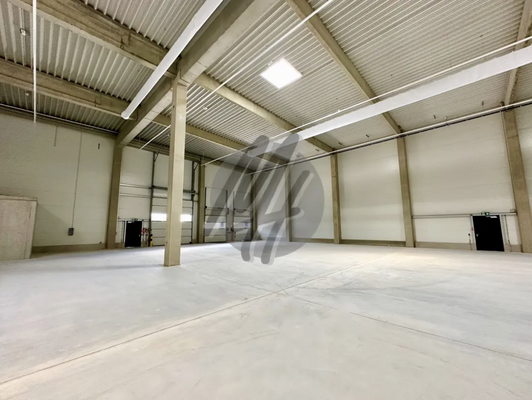 INFOS UNTER: 06171-586000