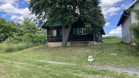 Winten Häuser, Winten Haus kaufen