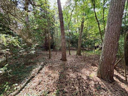 Garten mit Baumbestand