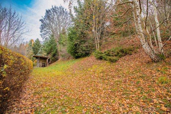 große Wiese unterer Gartenbereich